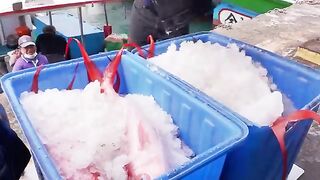 Loooong Tail！Giant Red Diamond Fish Cutting Skills, Steamed Fish Fillet  巨大長尾鳥！ 絲尾紅鑽魚切割技巧, 破布子蒸魚
