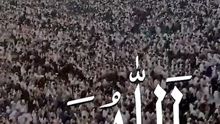 Labik allahumma labbek