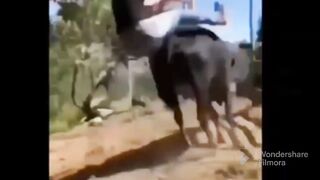 #trending #viral #latest#fyp,noran sister funny part<1
