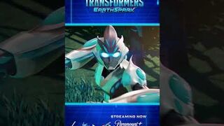 Target Practice transformers