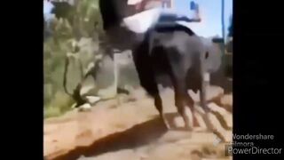 #fyp#trendin#viral#latest#noran sister funny troll part<2