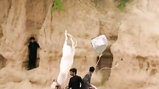 بیل گرگئےہیں
