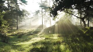 Sunda Serenity