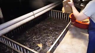 Best grilled eel rice bowl restaurant in Korea