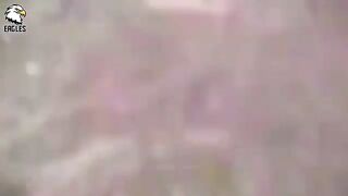 15 Brutal Kicks That Knock Make Opponents Collapse Caught On Camera  Animal Fight