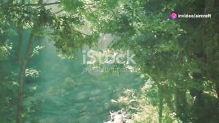 Green Natural
