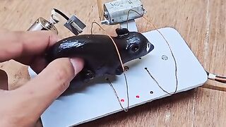 Mouse Trap