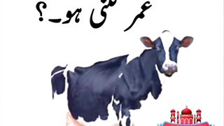 Qurbani K Janwar Ki Umar Kitni Honi Chyia