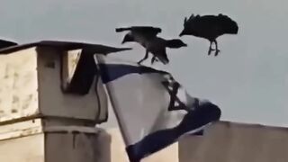 يبدو أنّ الوقت قد حان .. زوال اسرائيل و وعد الآخرة