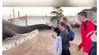 لا يمكنك الوثوق بالحيوانات البرية