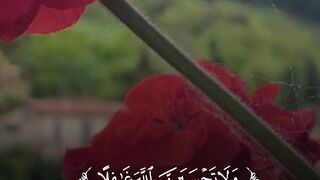 الله اكبر 5
