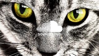 Up In My Jam (All Of A Sudden) – Kubbi (No Copyright Music).