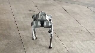 Just now robot dog