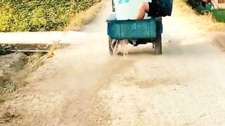 Comedy Video ???? Funny shorts #comedy