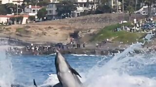 Amazing ocean