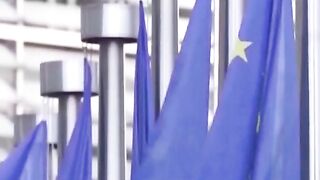 ЩЕ  СЕ ОБЕДИНЯТ ЛИ КРАЙНОДЕСНИТЕ  В ЕВРОПЕЙСКИЯ ПАРЛАМЕНТ ?