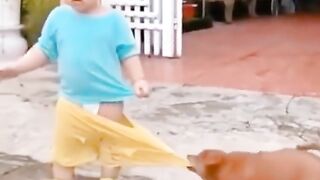Funny video
