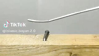 Beautiful video 66