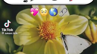 Hazrat Ali quotes in Urdu 210