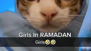 Funny Videos #reel#virl#share
