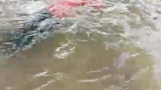 Cool swimming time