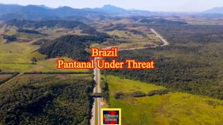 Fires burn in the world's largest tropical wetland