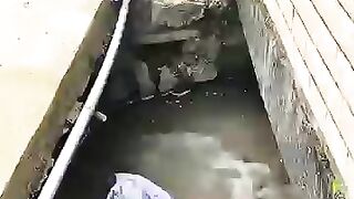 #funny video #like#share #virl #treanding #usa #