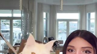 Bruh Cat