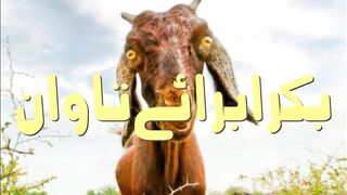 Happy Eid al-Adha. By Kashif Zubair.1