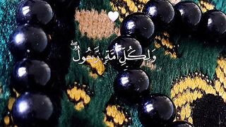 الله 14