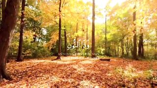 وذا النون تلاوة جميله من القارئ حمزة بوديب من سورة الانبياء
