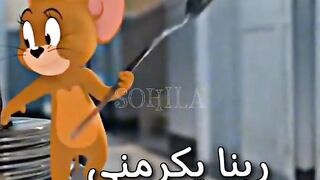 Short Videos 1