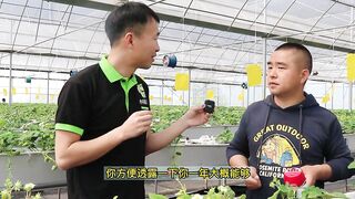 agronpmia