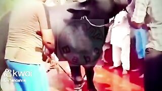 گائے مچھر گئی