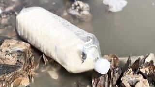 Sending rice in bottles to North Korea - BBC URDU.