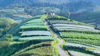 Amazing! This is Indonesia