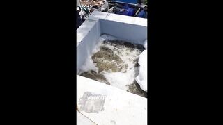 MBBR based sewage treatment plant