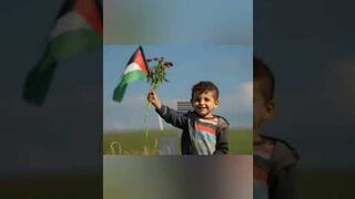 Palestine edit