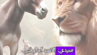 ينشئ مدون الفيديو هذا مقاطع فيديو رائعة! تعال وشاهد!    https://k.kwai.com/u/@Md6090/kCFQEKVf 69