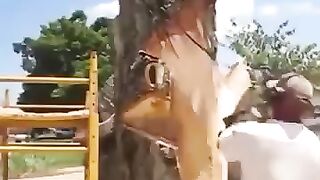 Просто супер 5