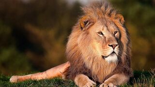 Motivational Video 13