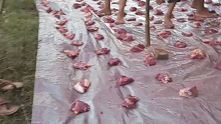 distribution of sacrificial meat