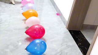 Baloon 4