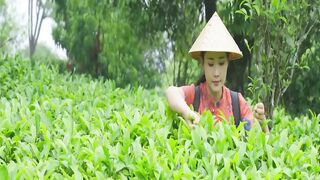 TEA LEAF PARTY