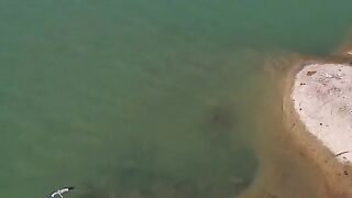 RIVER SHRIMP