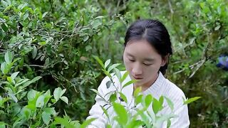 GREEN TEA 2