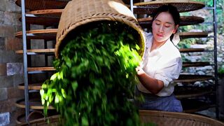 GREEN TEA 3