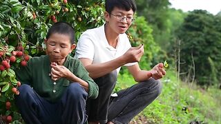 LITCHI FRUIT