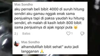 Percayalah.. Tidak semua penjual bibit lele itu CURANG❗YANG curang itu hanya segelintir OKNUM