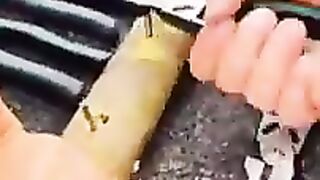 منتج . اقوى قطاعة